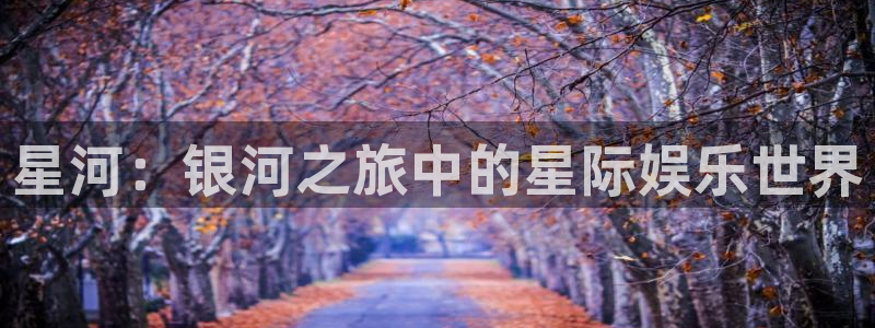 午夜黄色一级电影