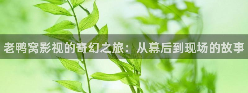 成人午夜三级电影