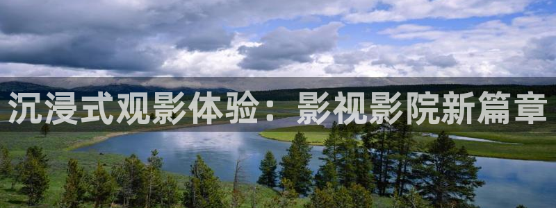 手机在线看午夜片