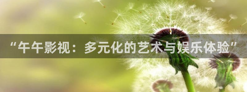 国产理论午夜电影