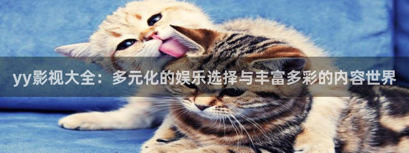 午夜大片免费看网址