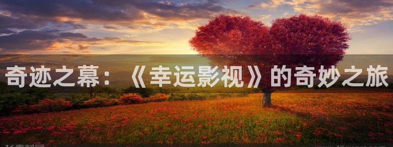 午夜电影a