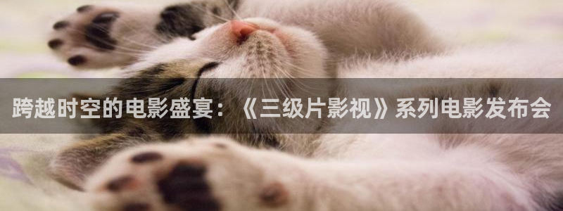 成年人午夜高清大片