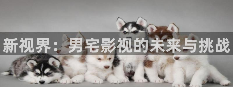 神马电影网午夜理论
