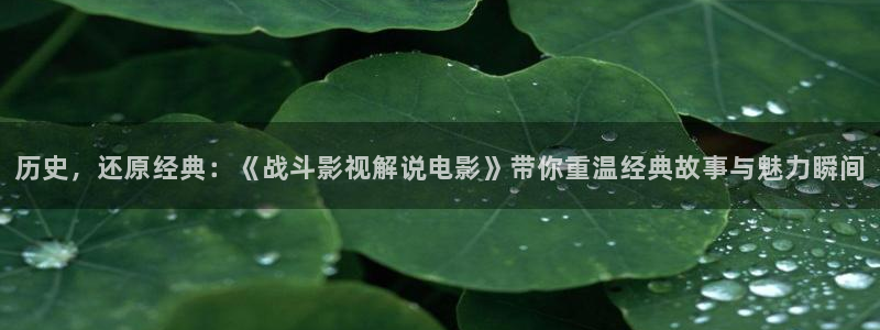 神马电影网午夜一