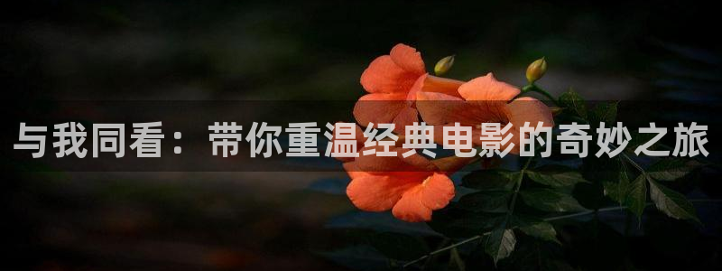 日韩美女午夜电影：与我同看：带你重温经典电影的奇妙之旅