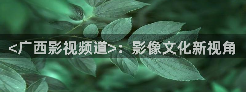 手机看午夜片