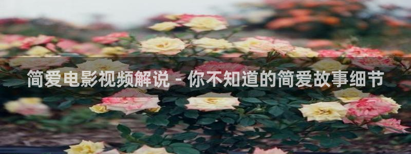 午夜爽片成人