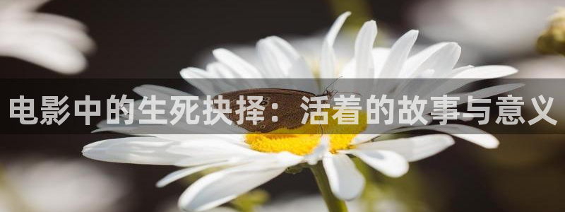 午夜成年视频在线