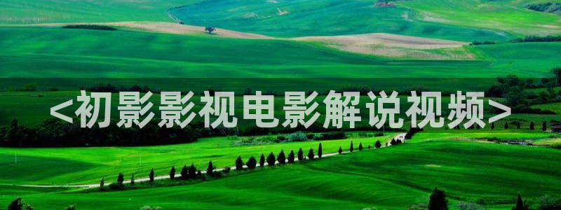 欧美午夜片