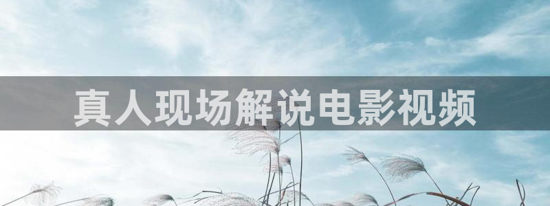 午夜网站电影