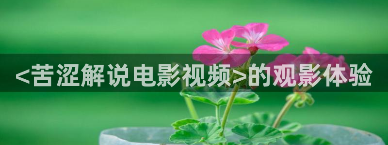 午夜伦电影在线观看