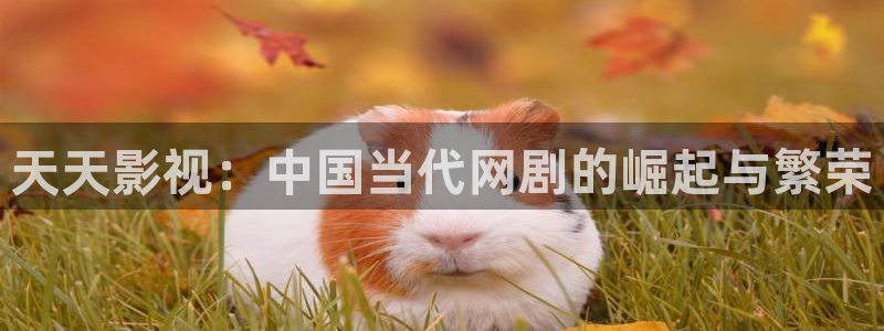 午夜风暴电影