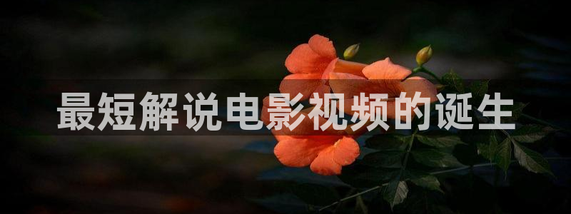 飘雪影院午夜理论片