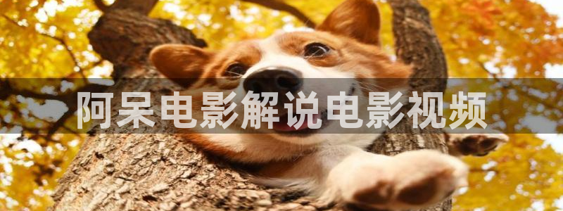 午夜高清免费在线
