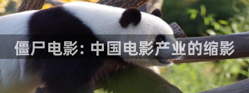 男人午夜电影