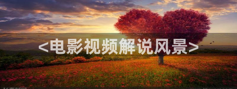 午夜tv