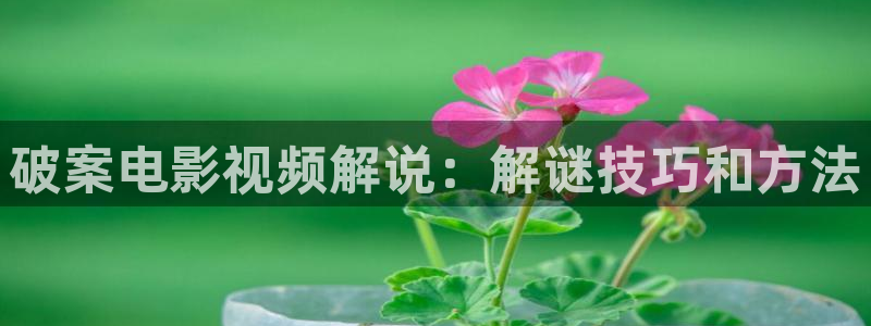 午夜免费影院在线观看