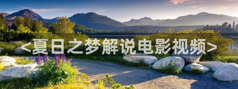 啪啪影视午夜