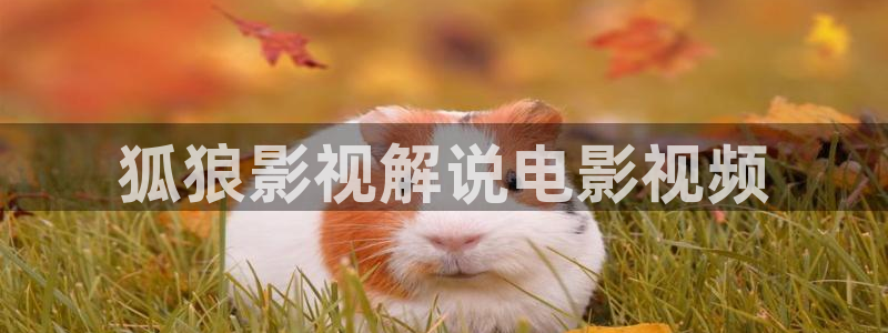 久久午夜影视