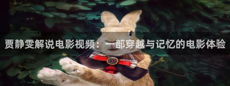 岛国午夜在线播放