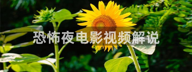 神马午夜伦理我不卡