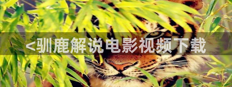 爱神马影院午夜