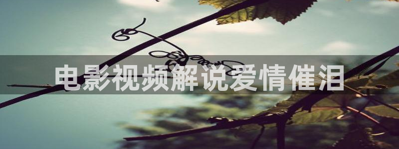 午夜剧院西瓜影院
