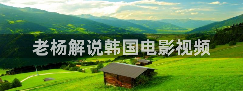 神马影院午夜理论片
