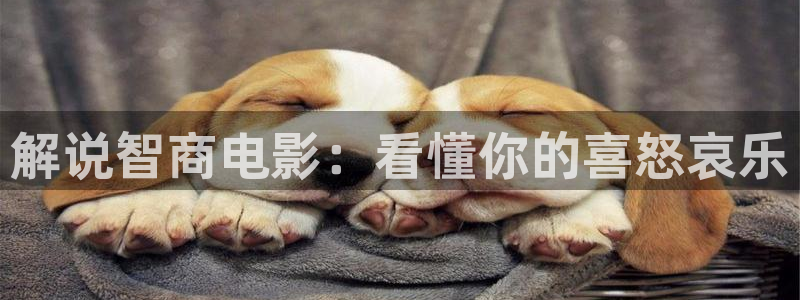 午夜影院18在线观看