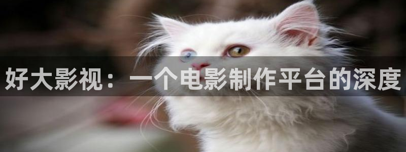 午夜三级在线观看视频
