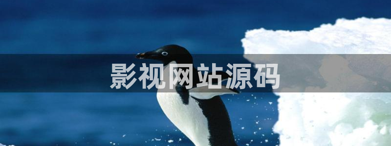 天天影院午夜