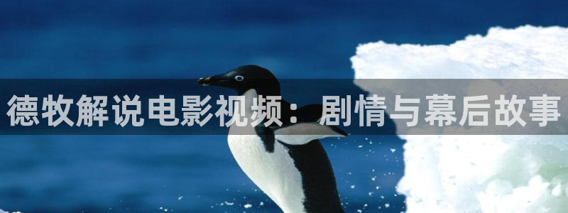 光棍午夜伦理影院