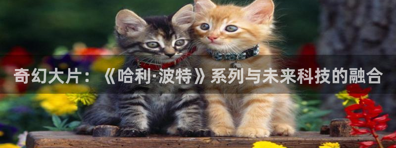 日本午夜电影大全