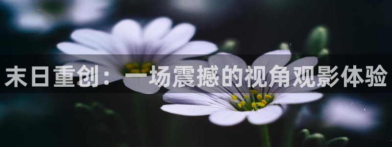 午夜电影中文字幕日本