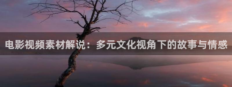 免费在线观看午夜电影