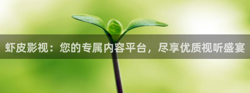 午夜理论电影免费观看