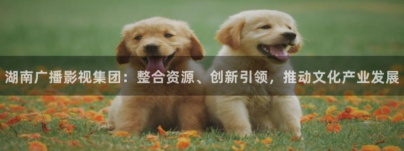 午夜好看电影