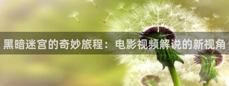 午夜仑里片