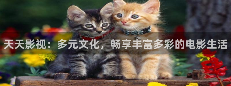 欧美亚洲午夜影院