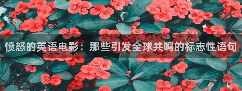 欧美午夜在线影院