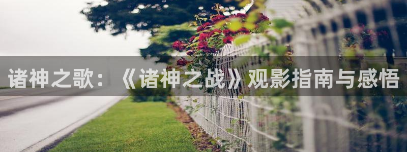 668看片网第二窝窝午夜影院久久