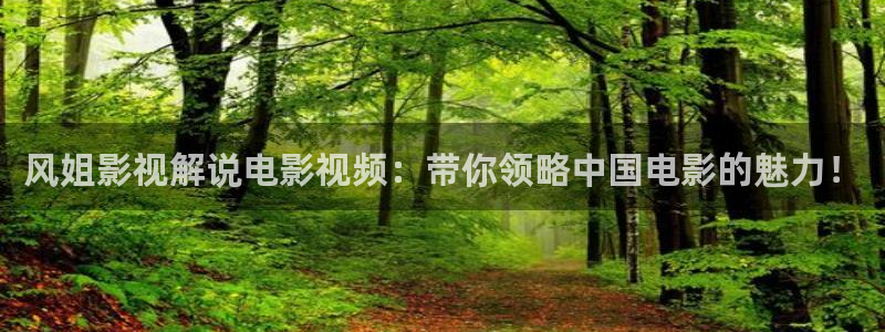 午夜看片导航：风姐影视解说电影视频：带你领略中国电影的魅力！