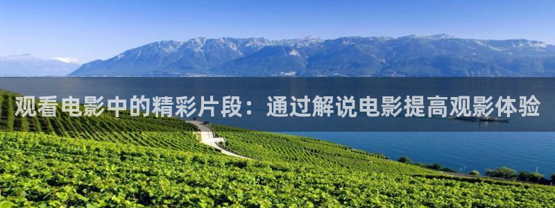 成人午夜在线观看视频