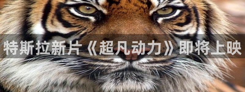 先锋午夜影院：特斯拉新片《超凡动力》即将上映