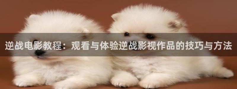 日本午夜大片a蜜桃在线观看