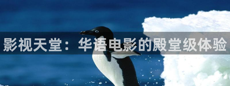 午夜影院免费视频：影视天堂：华语电影的殿堂级体验