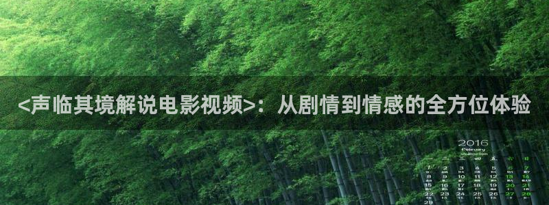 午夜生活理伦影院电影在线观看：<声临其境解说电影视频>：从剧情到情感的全方位体验