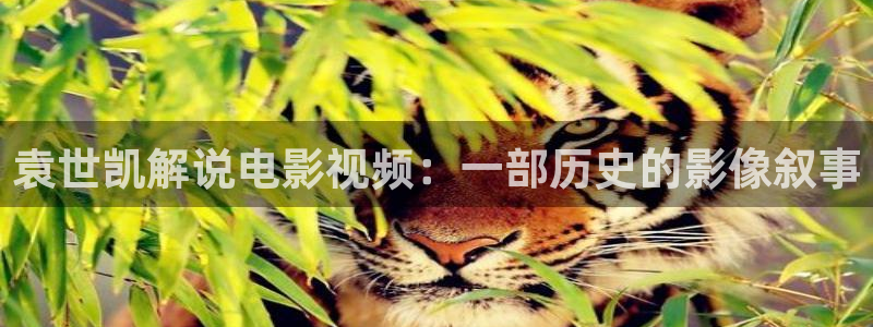精品午夜影视